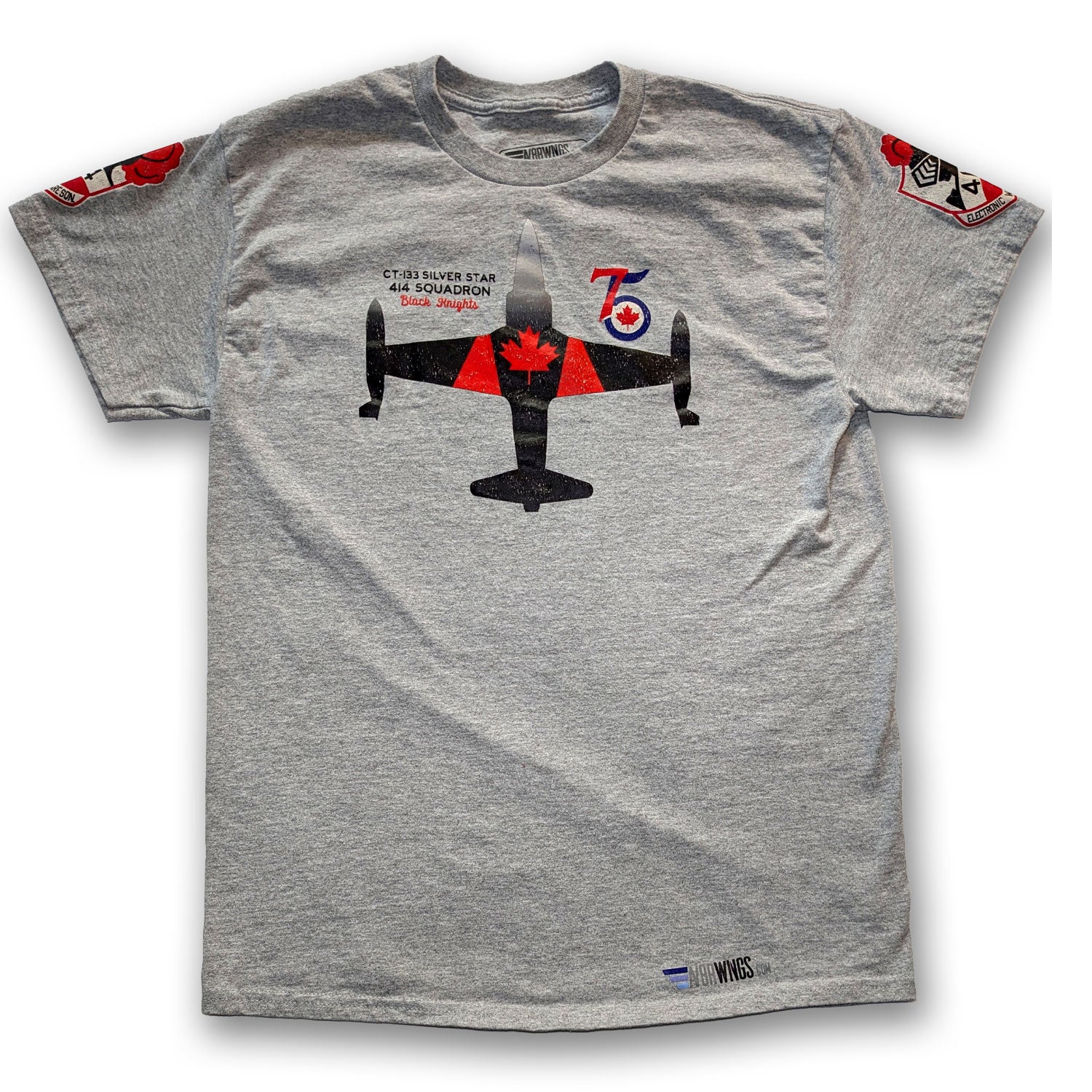 T-33 CT133 Silver Star 414 Squadron Black Knights