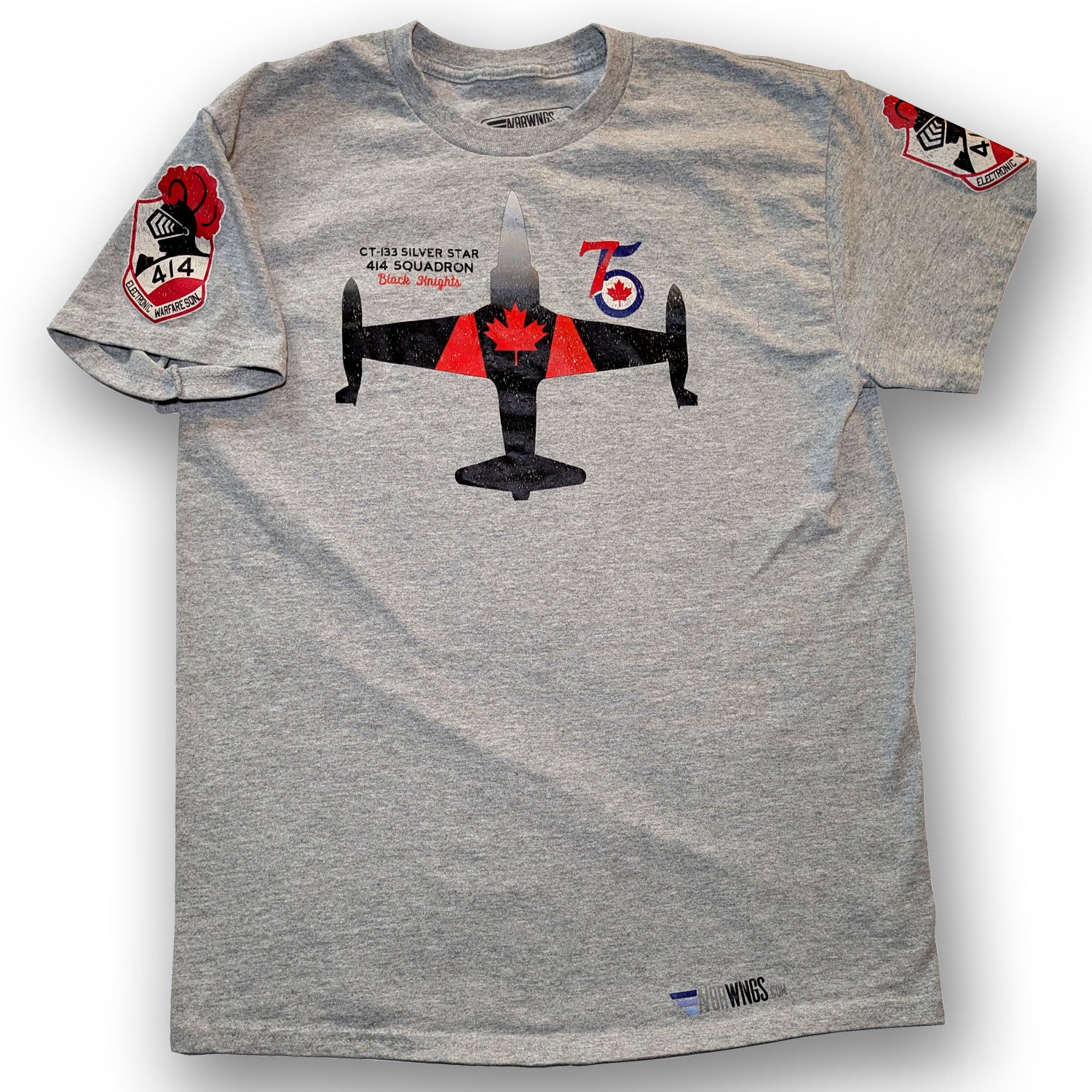 T-33 CT133 Silver Star 414 Squadron Black Knights