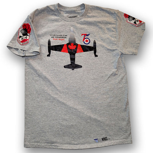 T-33 CT133 Silver Star 414 Squadron Black Knights