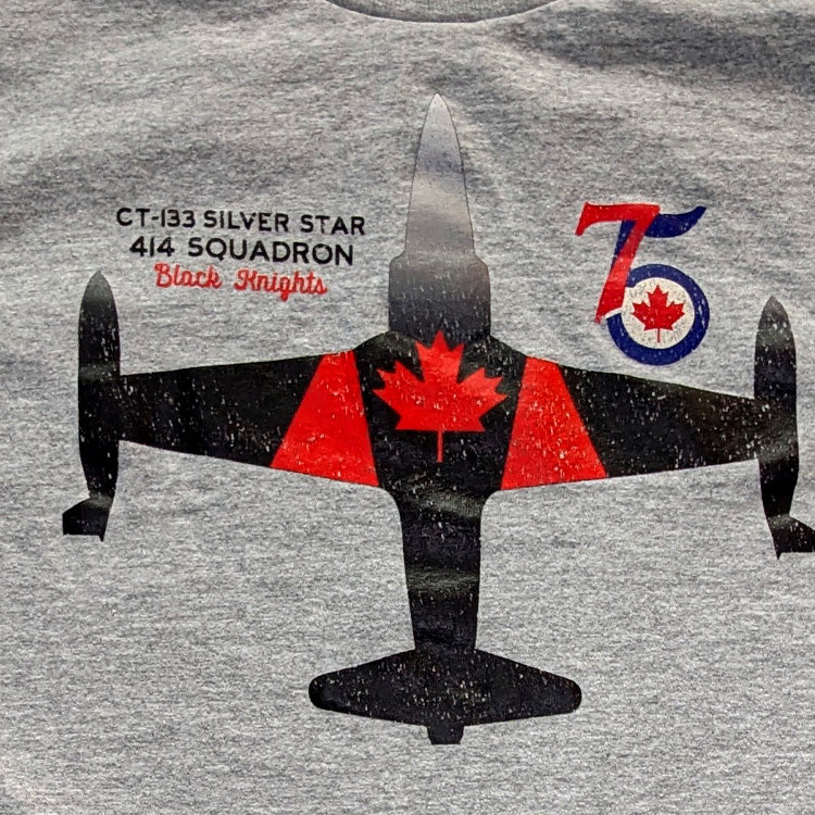 T-33 CT133 Silver Star 414 Squadron Black Knights