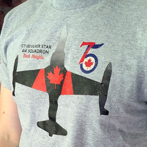 T-33 CT133 Silver Star 414 Squadron Black Knights